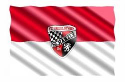 三亿体育体育vip注册-拜仁主场大胜弗赖堡，取得连胜积分领跑德甲！，拜仁对弗莱堡分析