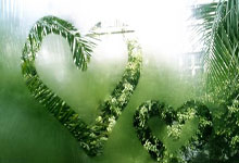 三亿体育体育官方-关于南安普顿主场不敌沃特福德，遭遇连败的信息