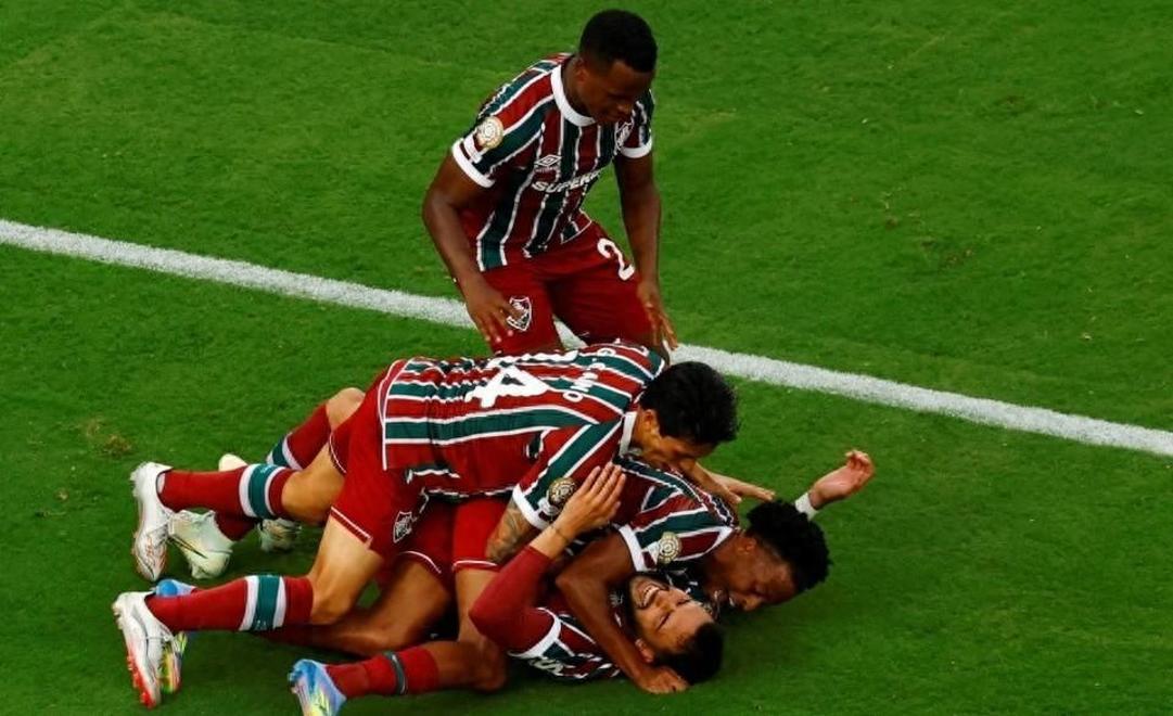 南美杯赛进展：巴西队表现抢眼的简单介绍